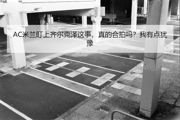mi-lan-ding-shang-qi-er-ke-ze-zhe-shi-zhen-de-he-pai-ma-wo-you-dian-you-yu-2-658.jpg