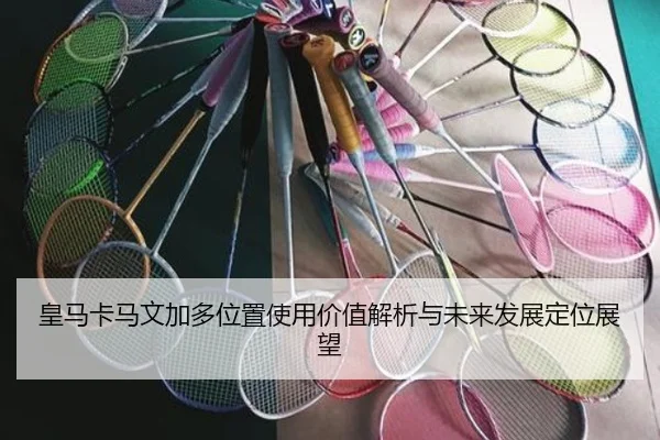 皇马卡马文加多位置使用价值解析与未来发展定位展望