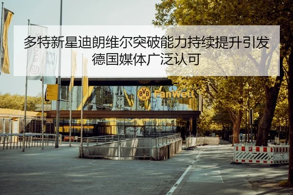 多特新星迪朗维尔突破能力持续提升引发德国媒体广泛认可