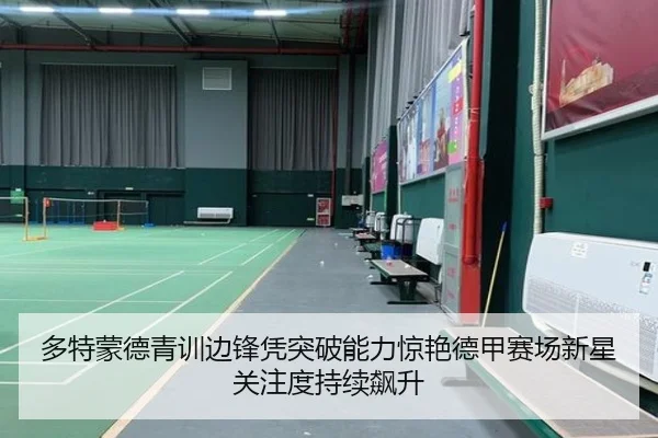 多特蒙德青训边锋凭突破能力惊艳德甲赛场新星关注度持续飙升